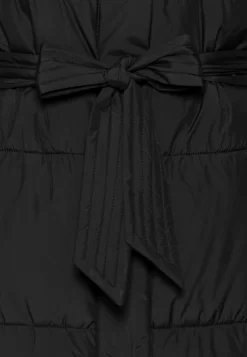 Anna Field Manteau D'Hiver - Black -Anna Field 1beab7d014154499a6538fd052439774 scaled