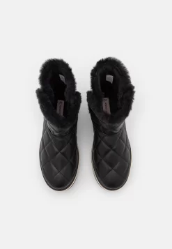 Anna Field Winter Boot - Bottines À Plateau - Black -Anna Field 732d1af2e1894c9386f34b51556b4e13 scaled